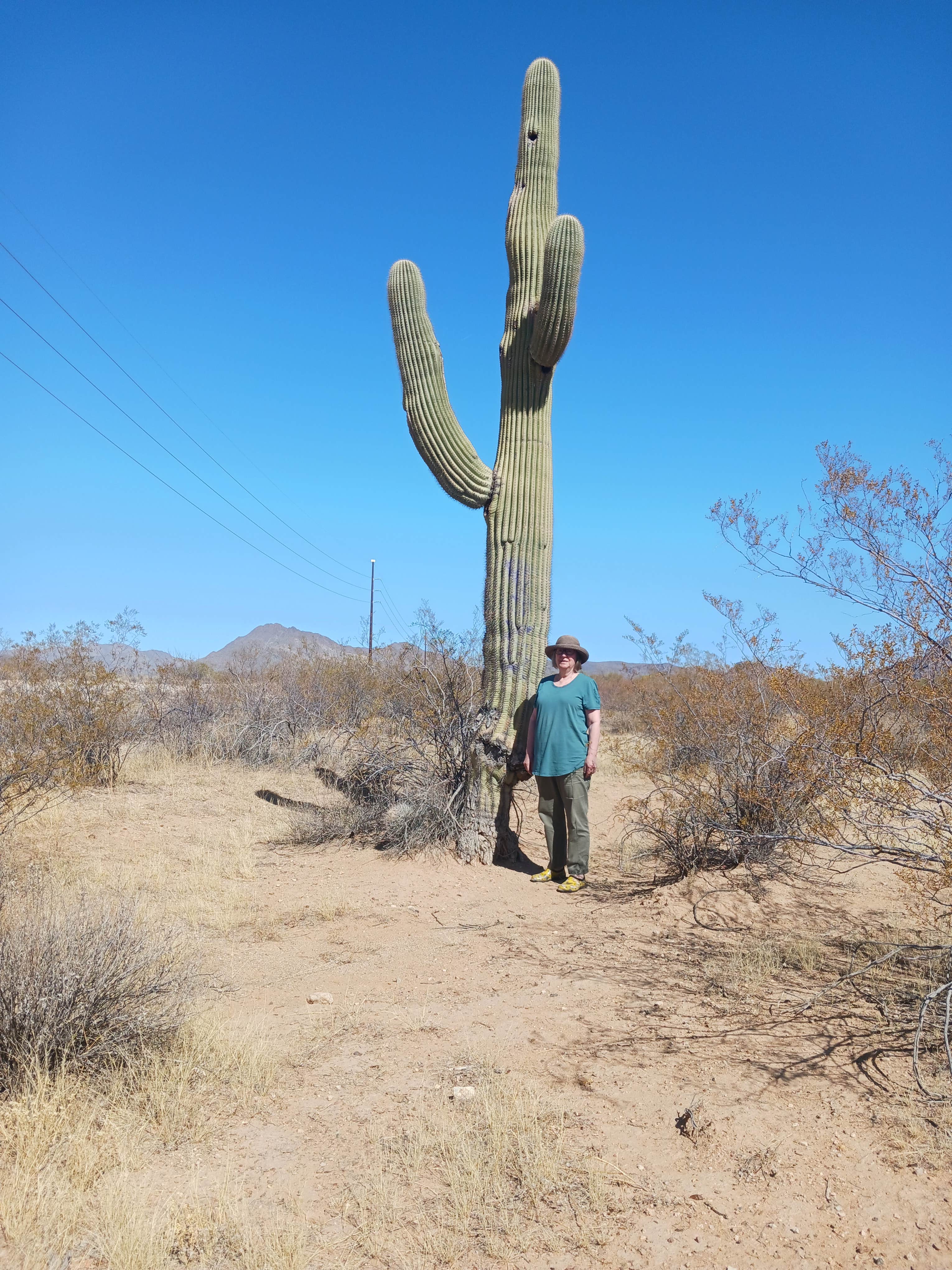 Camper-submitted photo at BLM off of W Valencia Rd | Wild Camping near Tucson, AZ