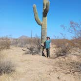 Review photo of BLM off of W Valencia Rd | Wild Camping by david M., February 21, 2025