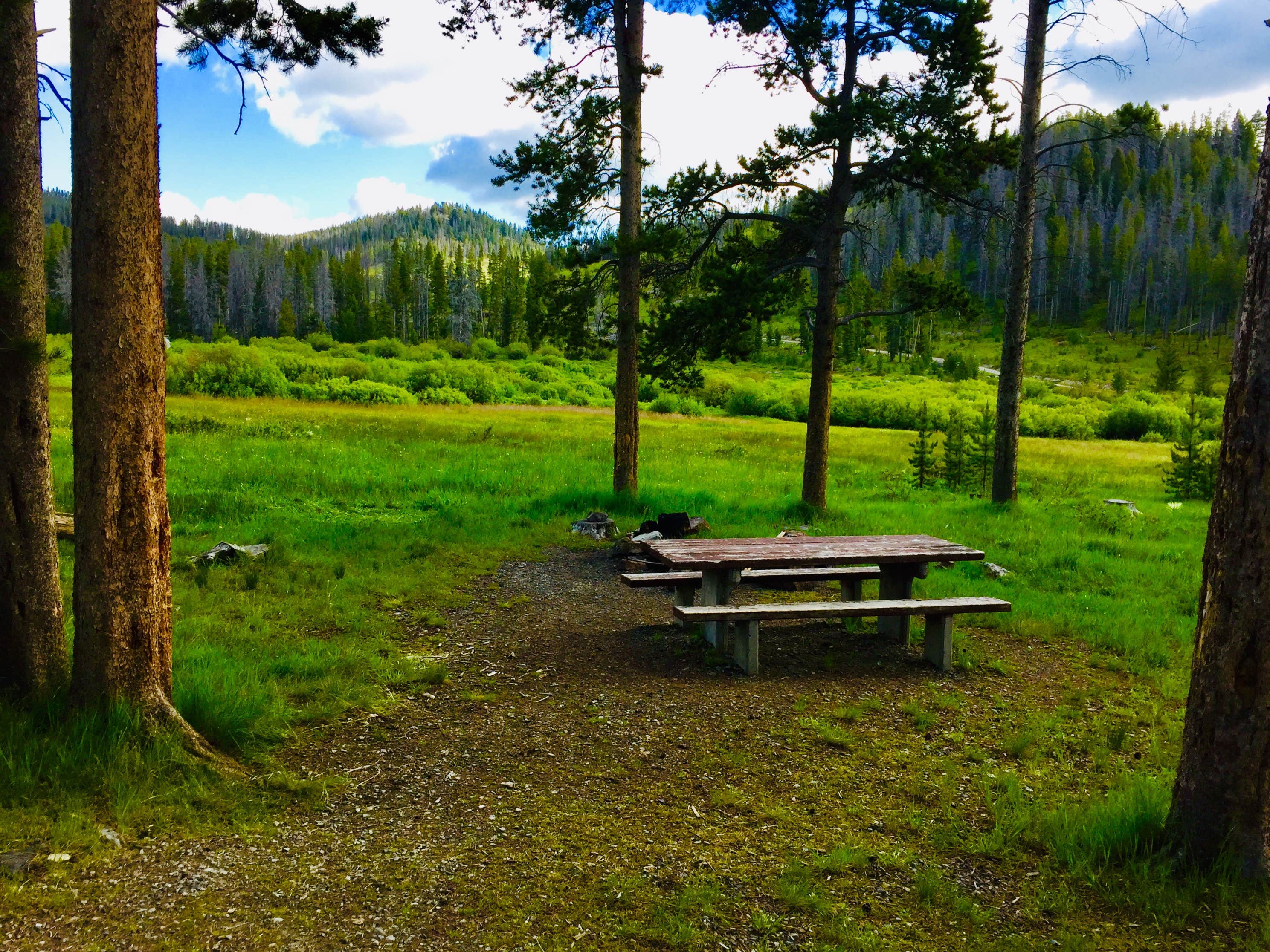 Montana’s Hidden Gem: Lowland Campground, Where Adventure Meets Tranquility