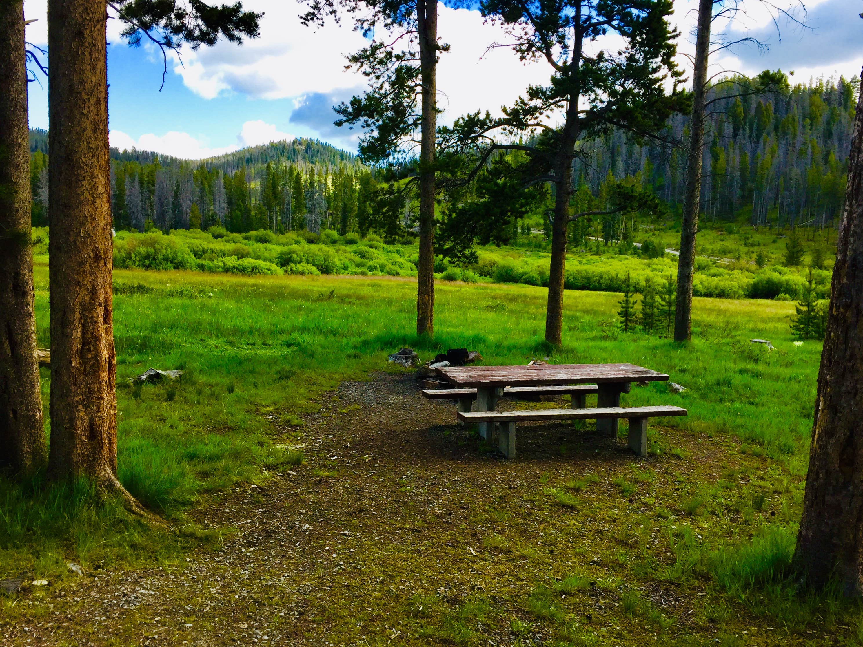 Camper submitted image from Lowland Campground - 5