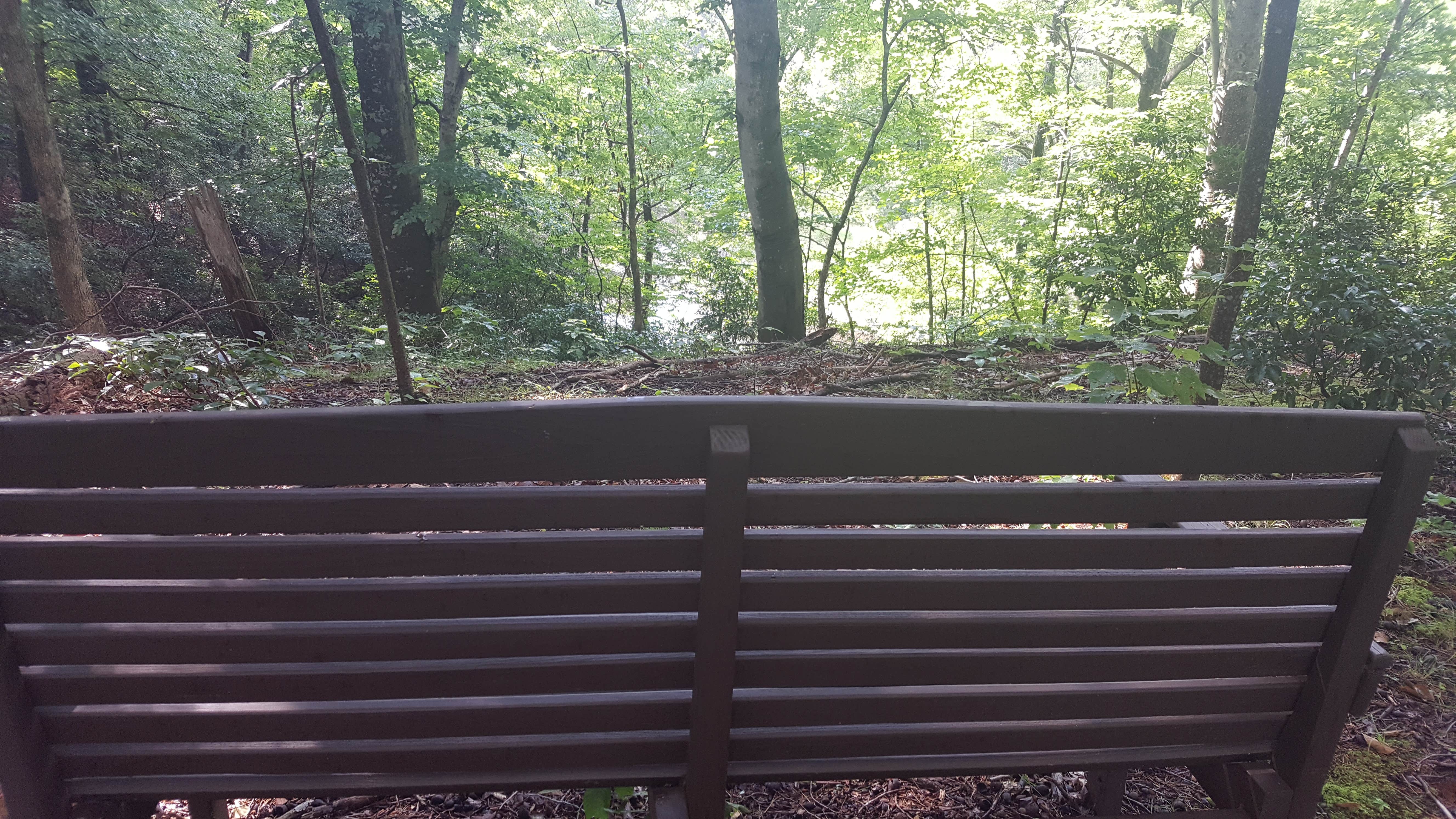 Camper-submitted photo at Final-Lee Here near Huntingtown, MD