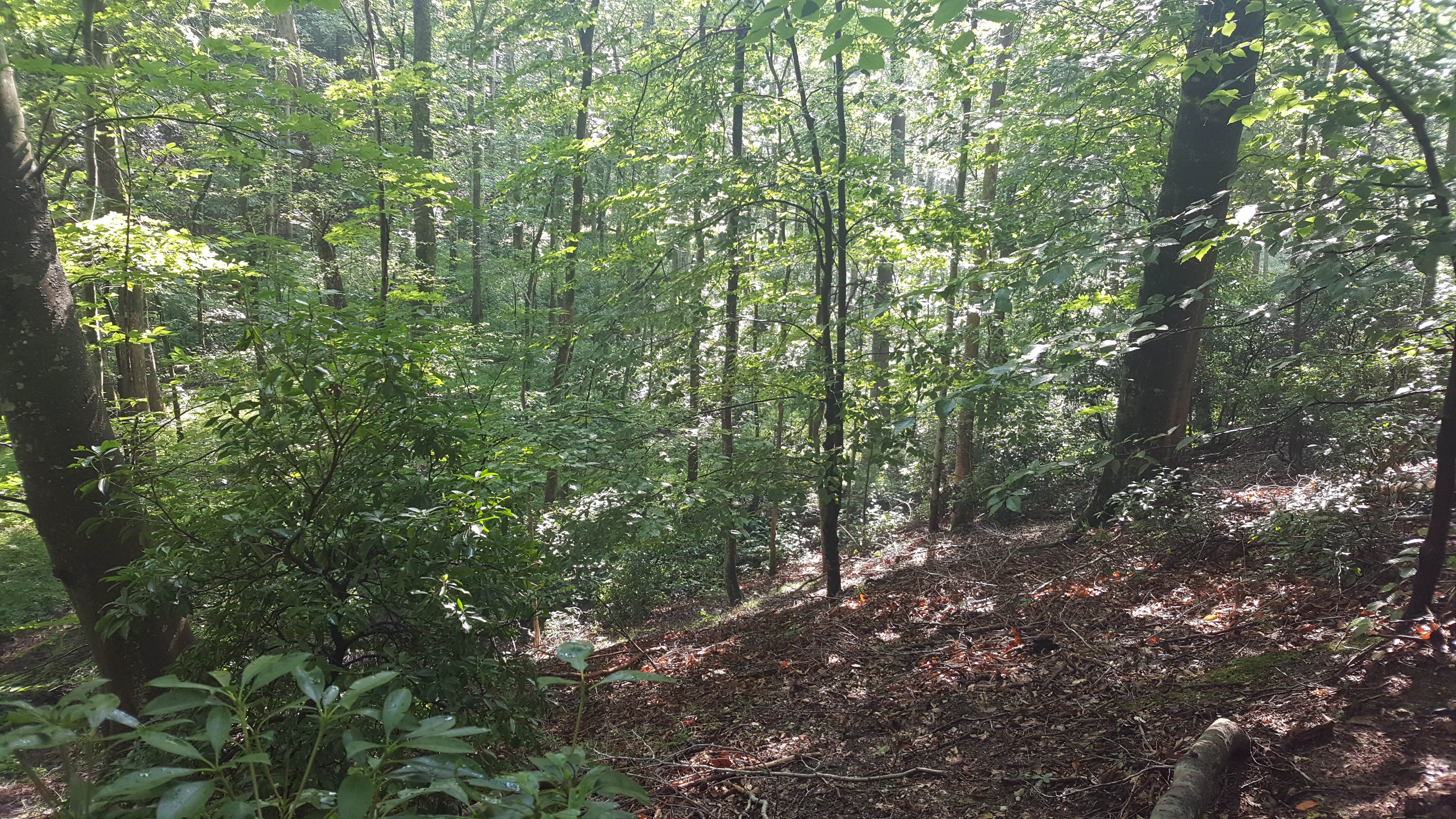 Camper-submitted photo at Final-Lee Here near Huntingtown, MD