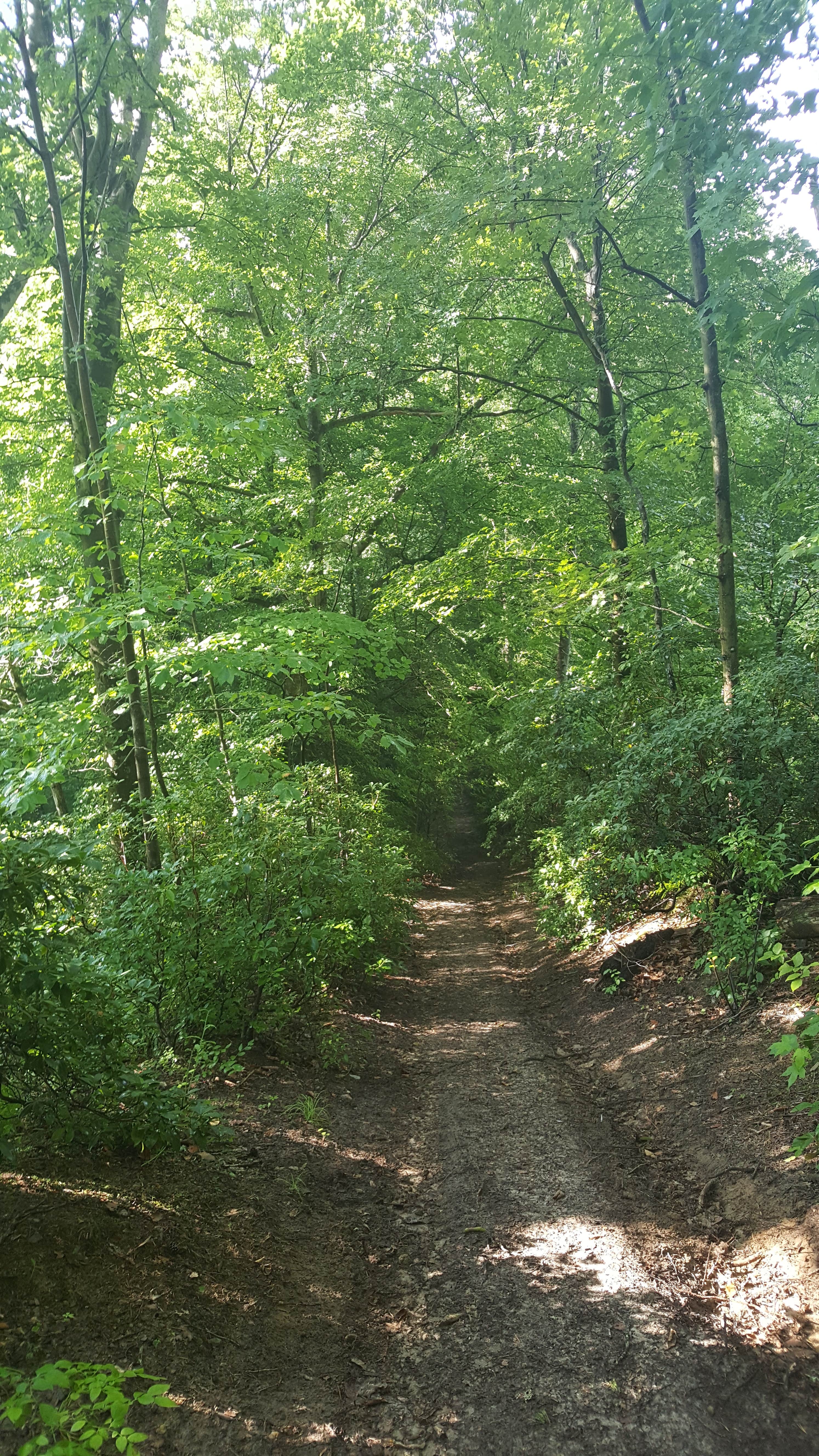 Camper-submitted photo at Final-Lee Here near Huntingtown, MD