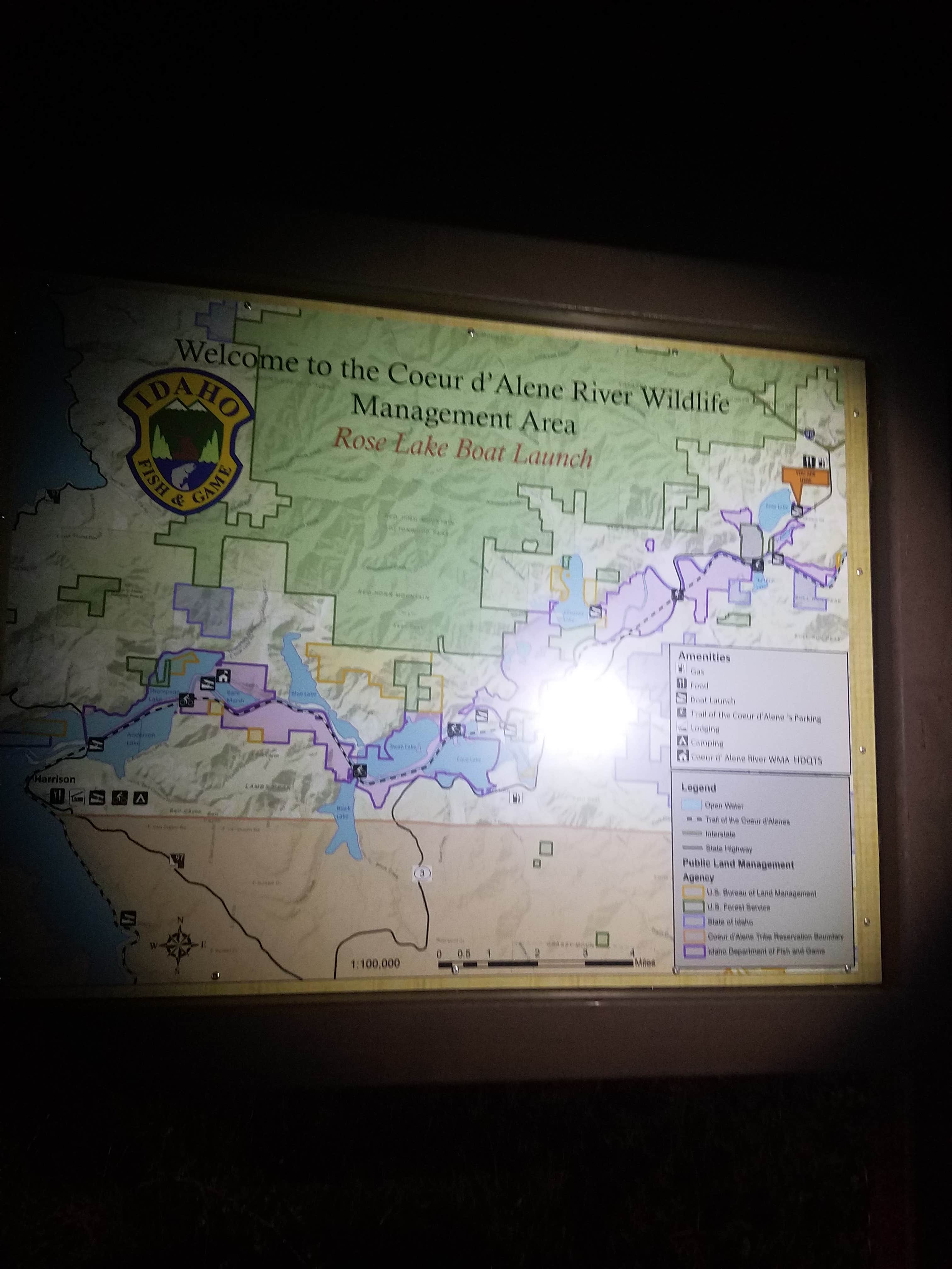 Camper submitted image from Rose Lake - 4
