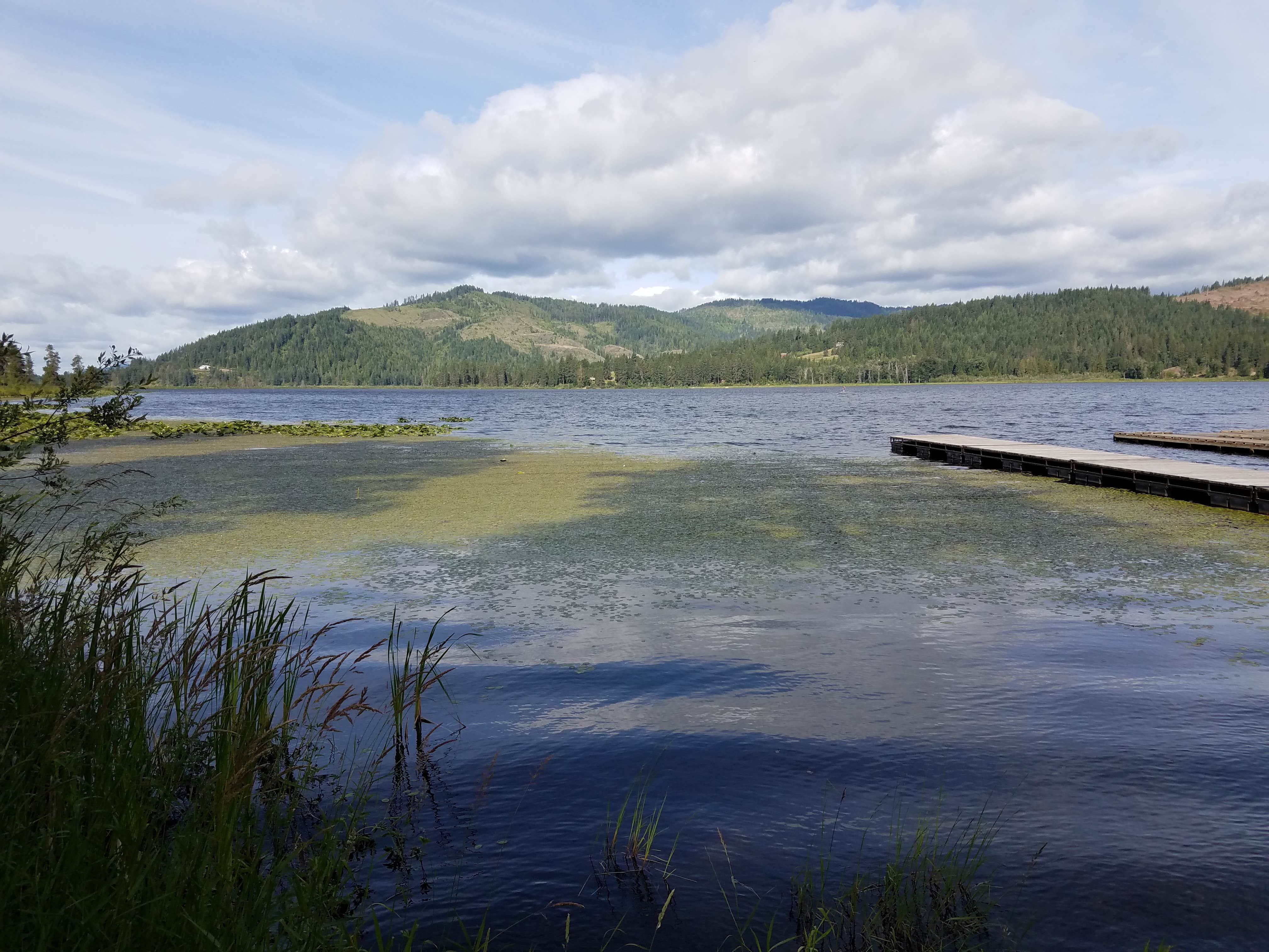 Jess G.'s photo of a dispersed camping area at Rose Lake near Potlatch, ID