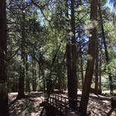 Review photo of Observatory Campground by Brandy G., July 4, 2019