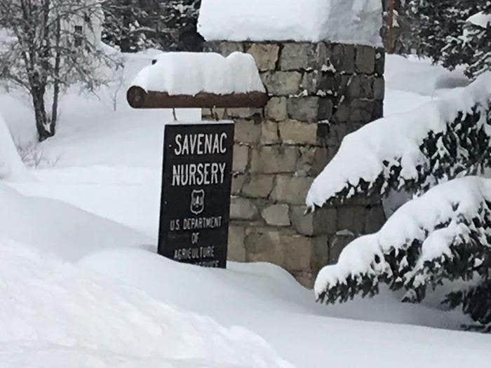 Camper submitted image from Savenac East Cottage (Mt) — Lolo National Forest - 2