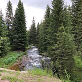 Review photo of Middle Fork by Art S., July 4, 2019
