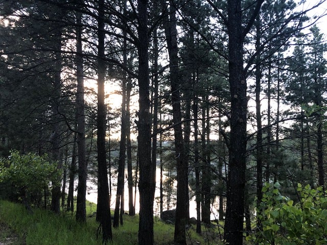 Camper submitted image from Bismarck Lake Campground - 2