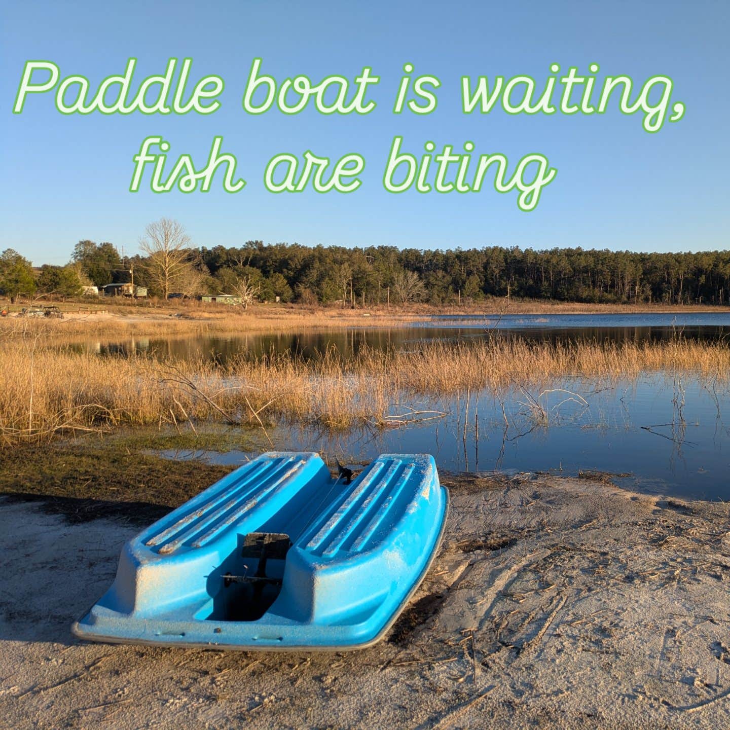 Camper-submitted photo at My Father's Sanctuary near Fountain, FL