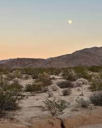 Camping near Cibola National Wildlife Refuge - East: Wiley Wells Dispersed - Mule Mountain, Palo Verde, Arizona