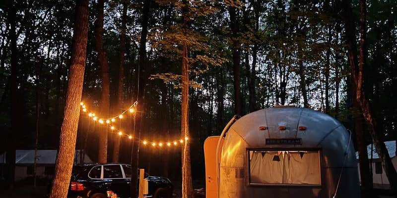 Camper submitted image from Point of View Lake Resort & Glamping Campground