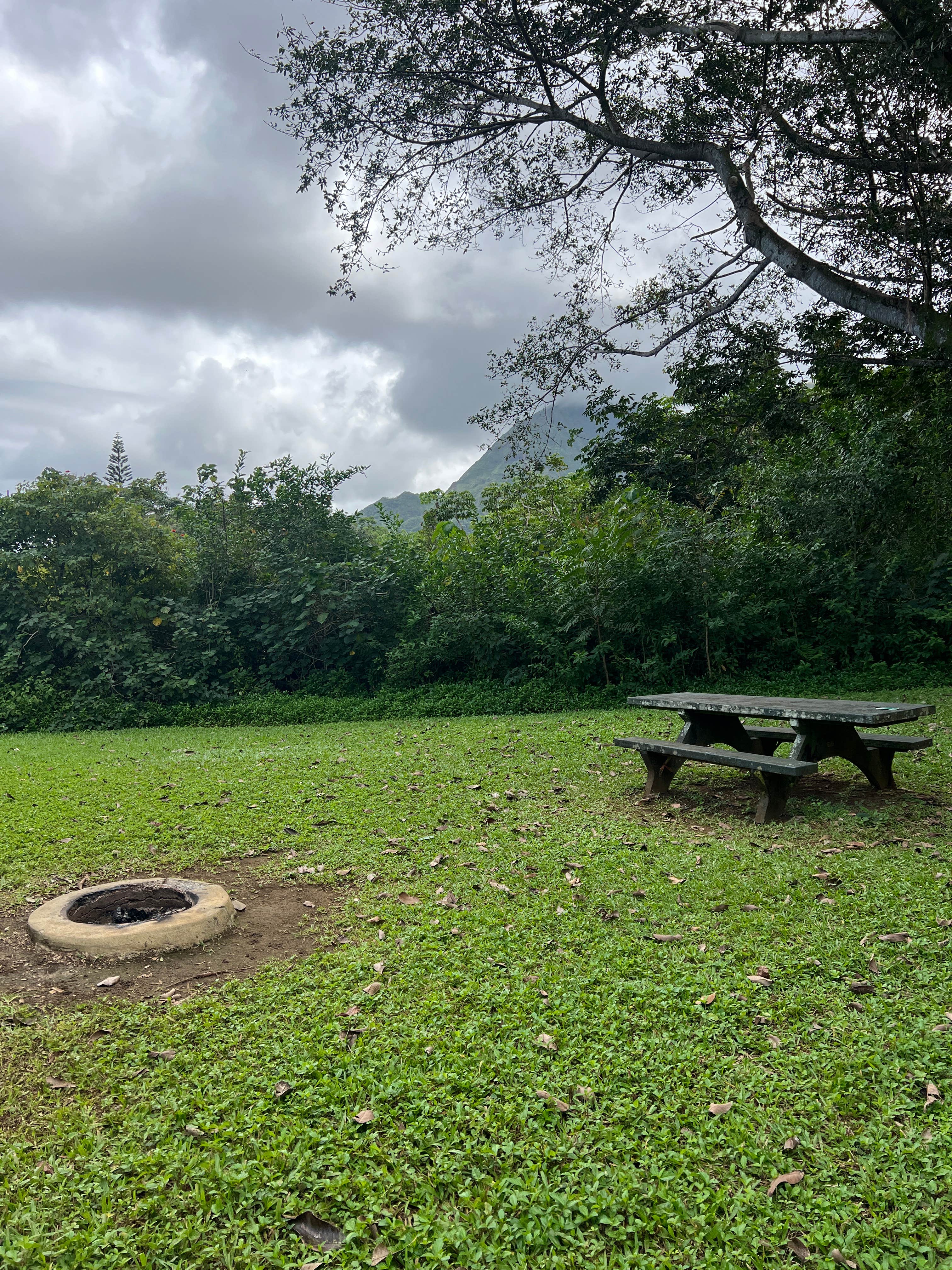 Camper-submitted photo at Ho’omaluhia Botanical Garden near Waipio, HI