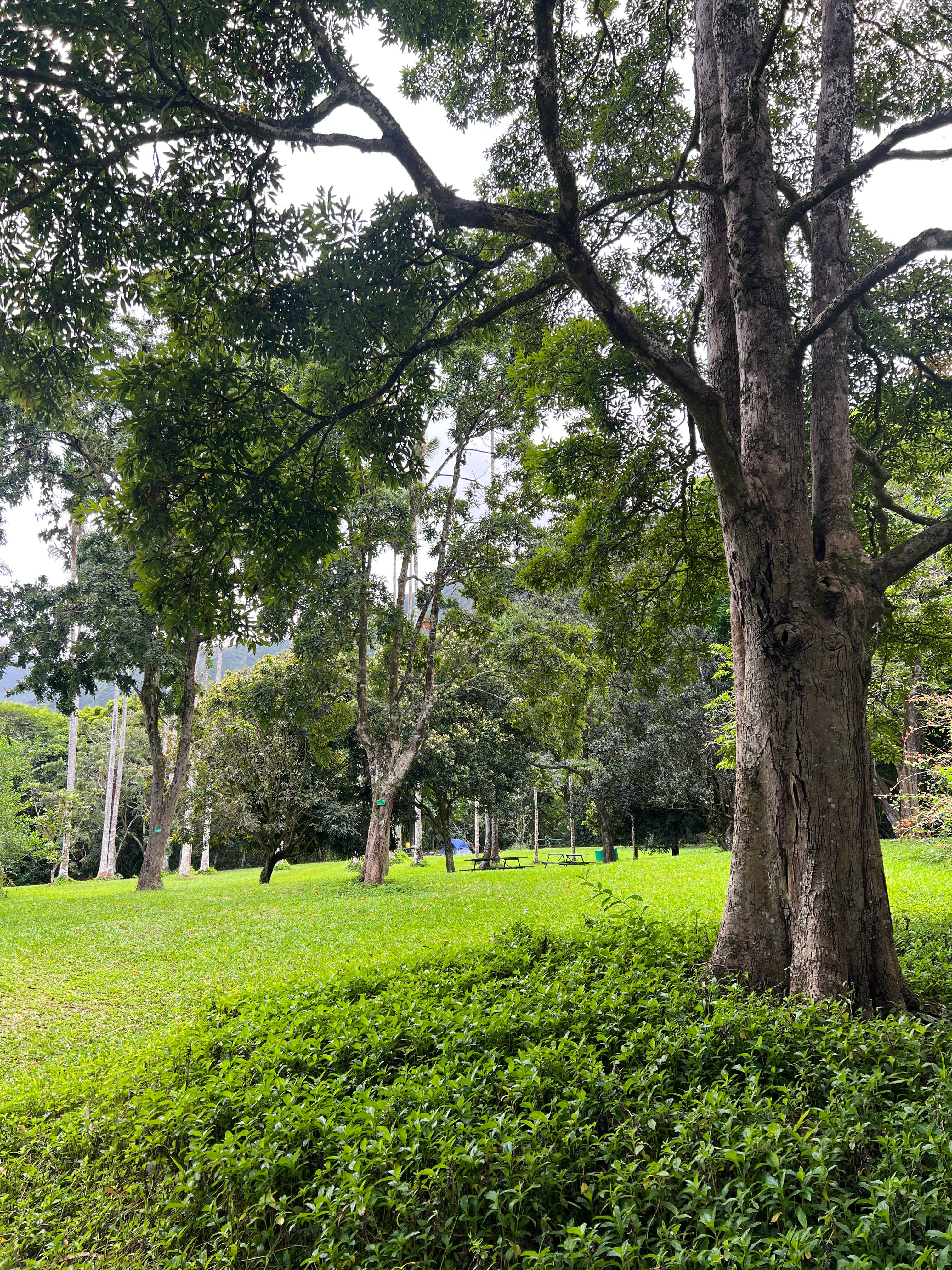 Camper-submitted photo at Ho’omaluhia Botanical Garden near Waipio, HI
