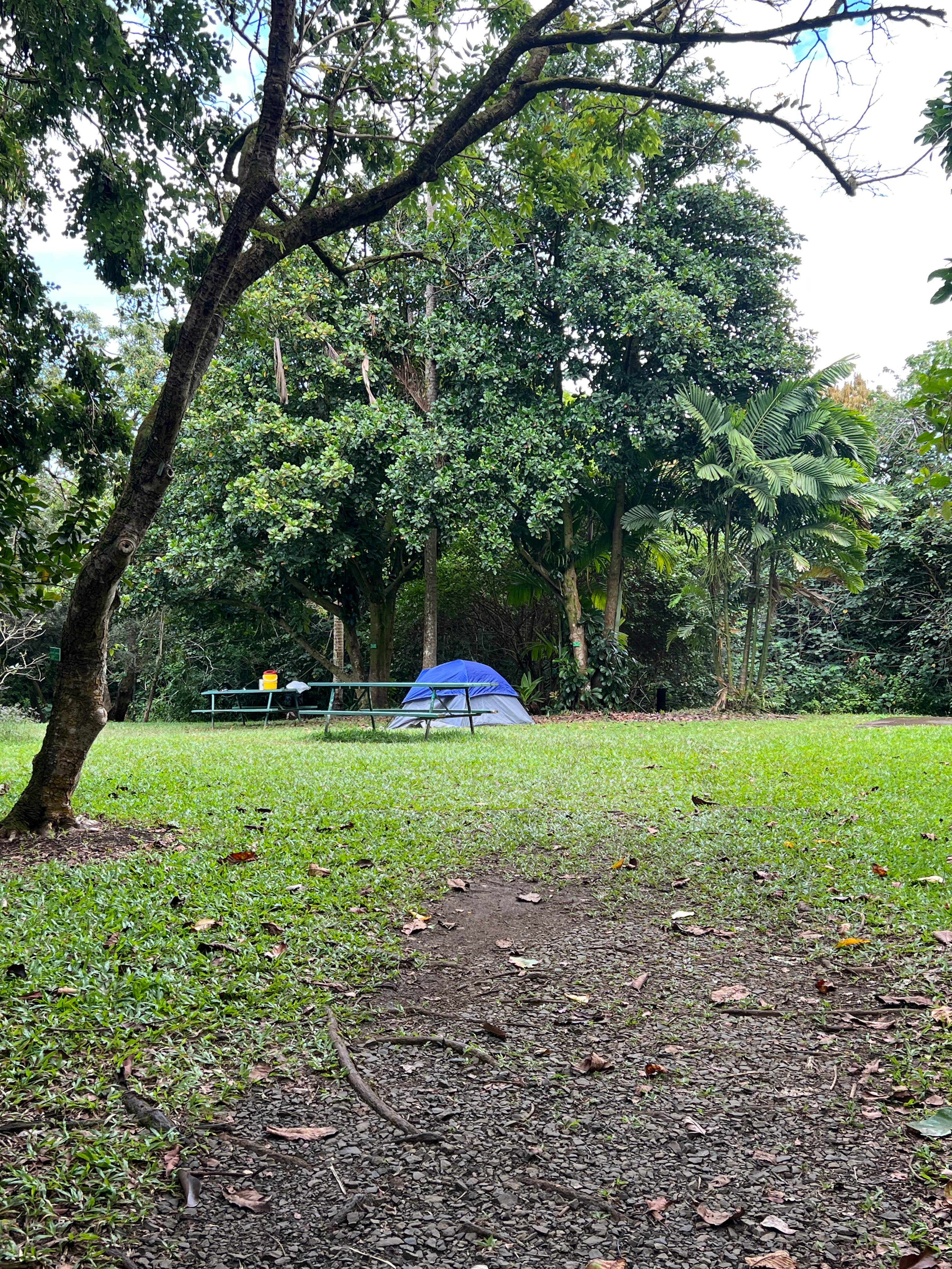 Camper-submitted photo at Ho’omaluhia Botanical Garden near Waipio, HI