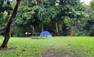 Saraj B.'s photo at Ho’omaluhia Botanical Garden in Hawaii