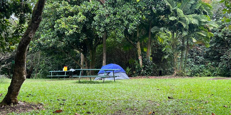 Camper submitted image from Ho’omaluhia Botanical Garden