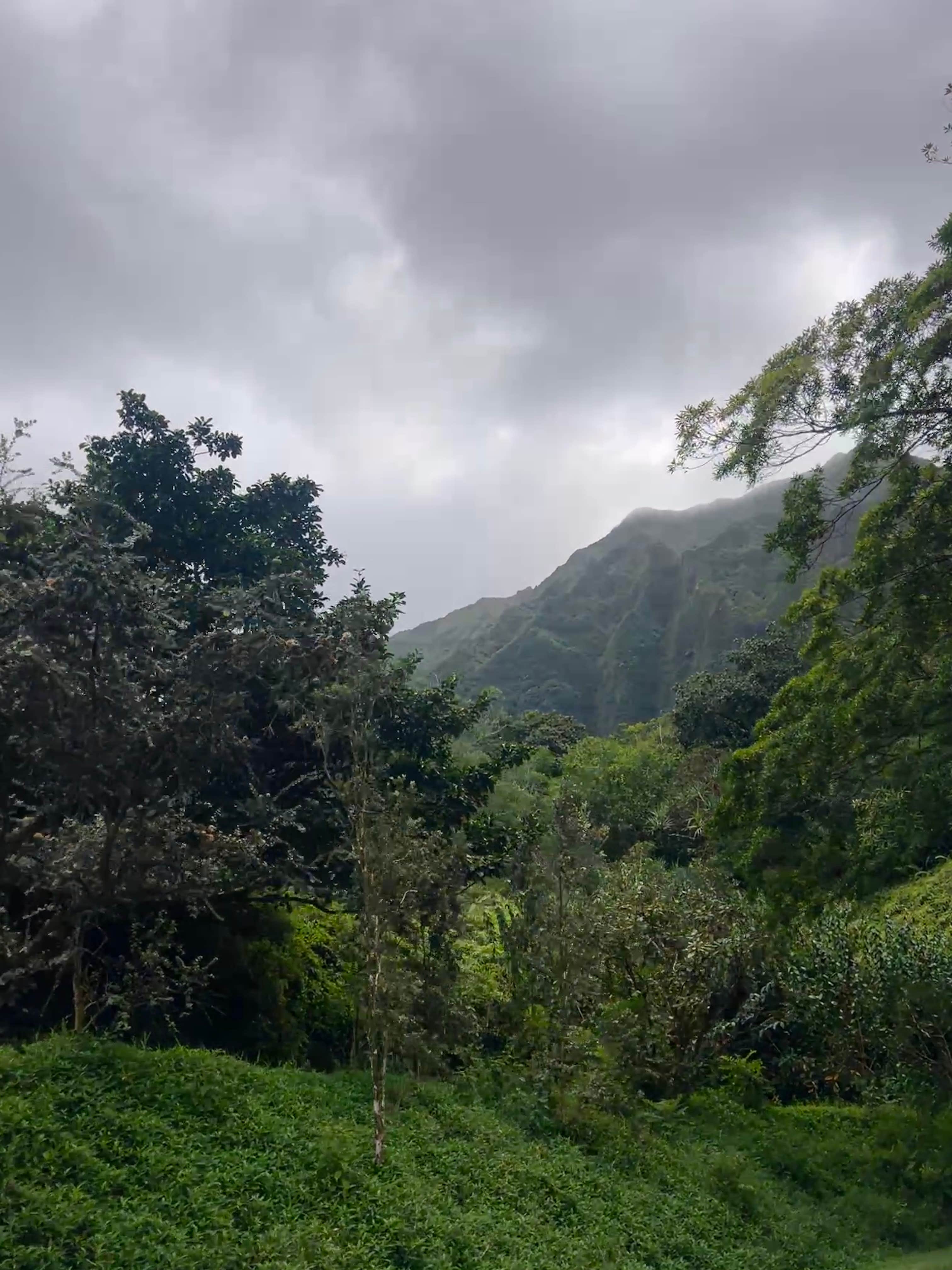 Camper-submitted photo at Ho’omaluhia Botanical Garden near Waipio, HI