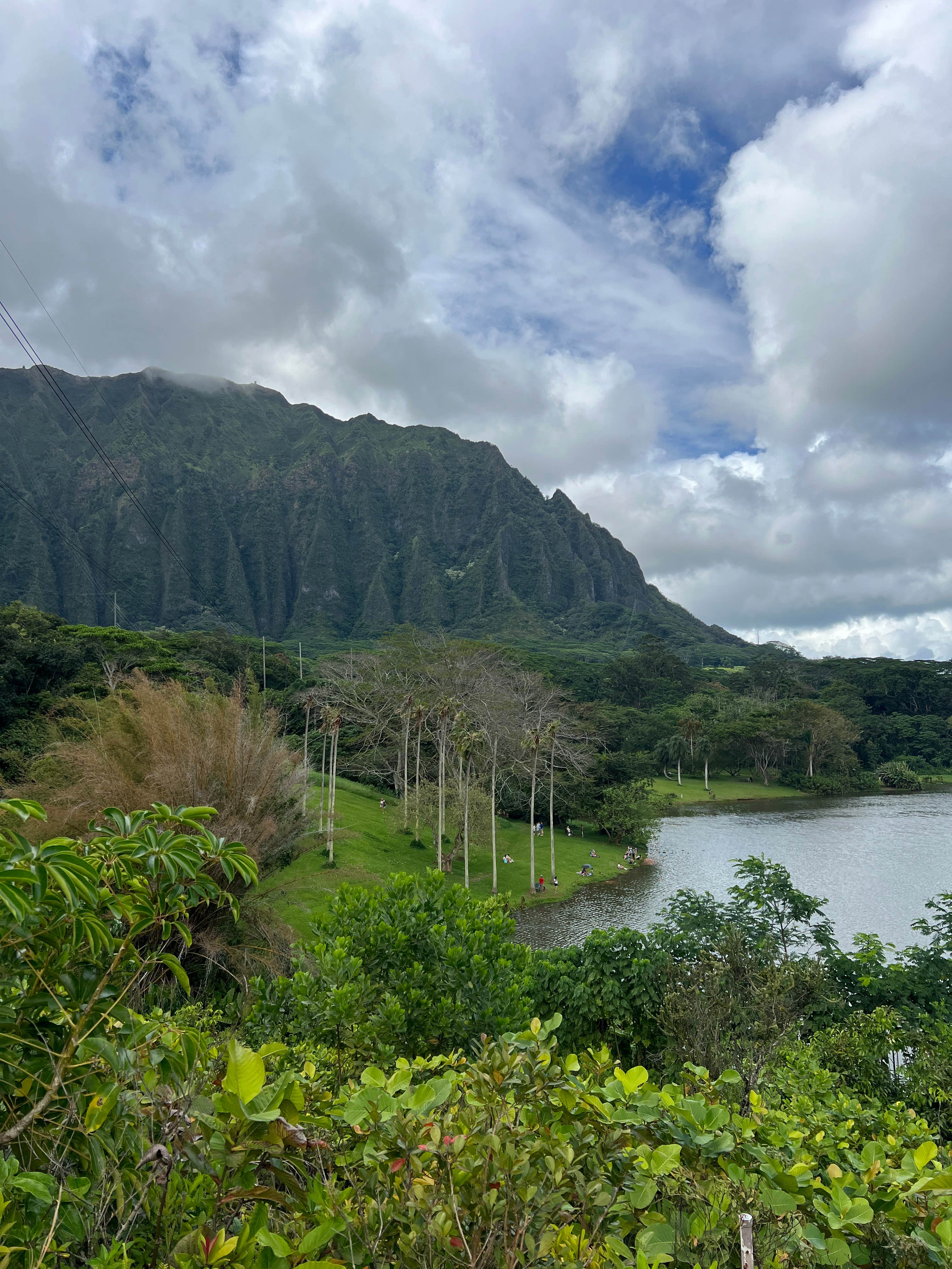 Camper submitted image from Ho’omaluhia Botanical Garden - 5