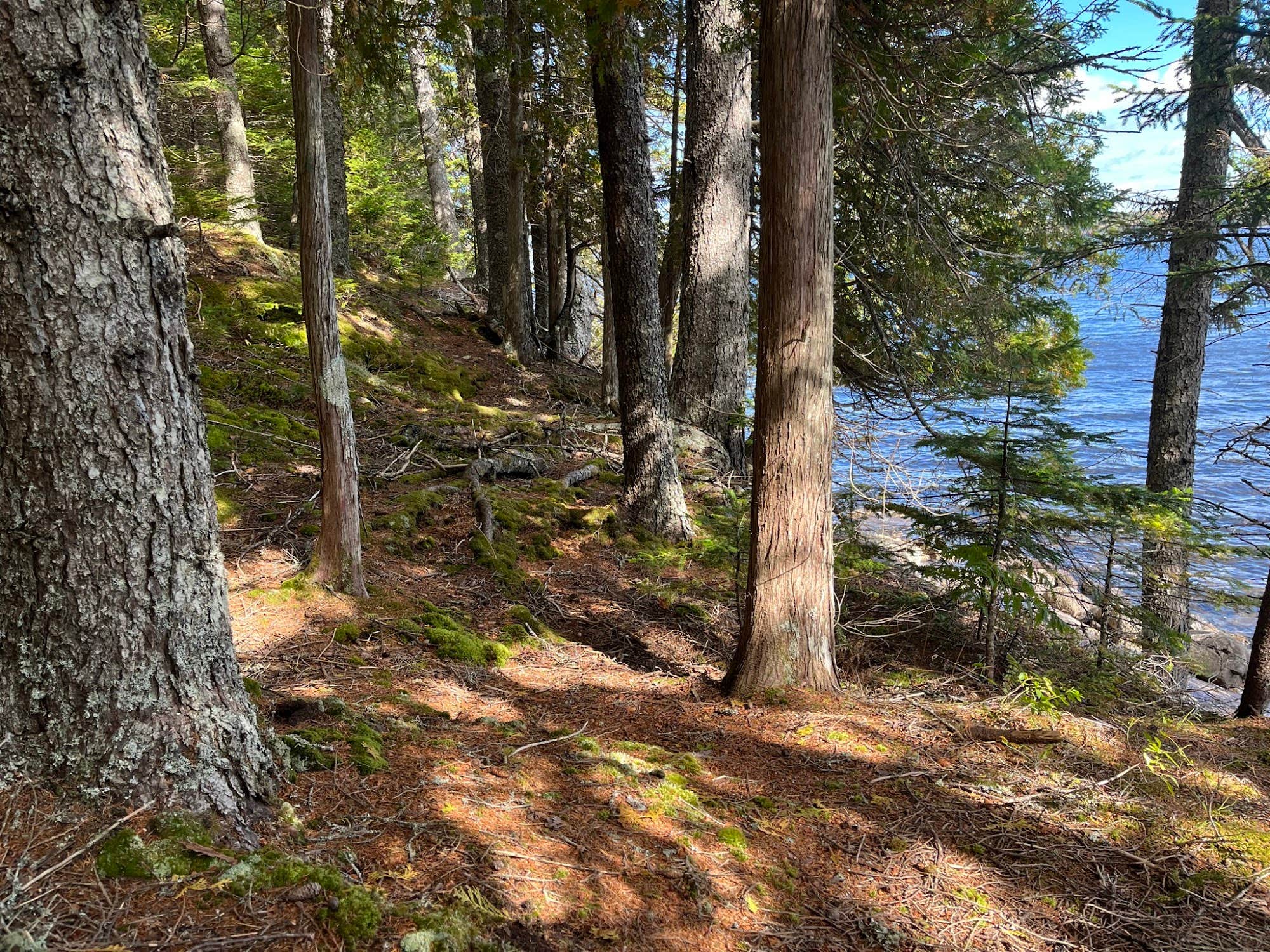 Camper-submitted photo at Tom's Retreat on Gardner Lake near Machiasport, ME