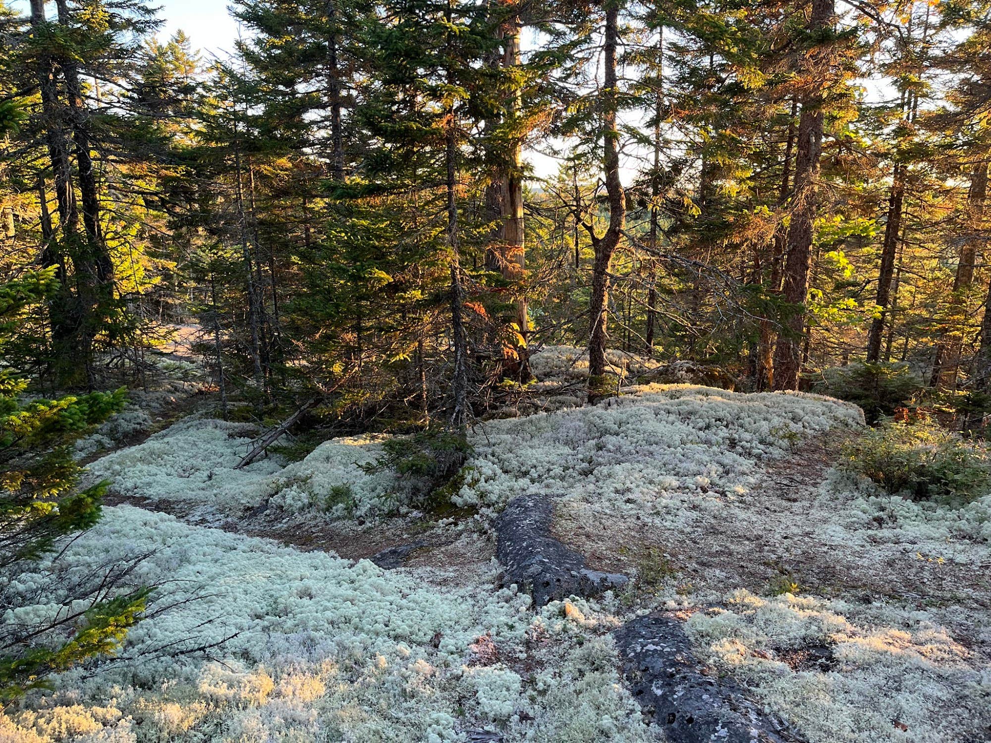 Camper-submitted photo at Tom's Retreat on Gardner Lake near Machiasport, ME