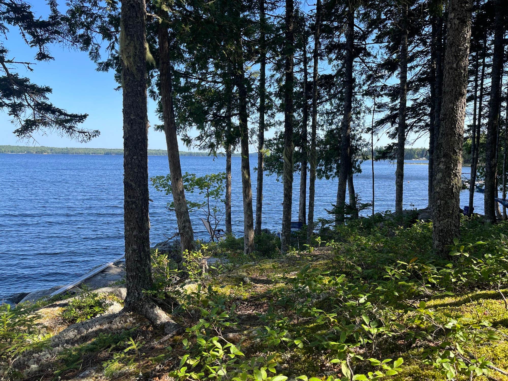 Camper-submitted photo at Tom's Retreat on Gardner Lake near Machiasport, ME