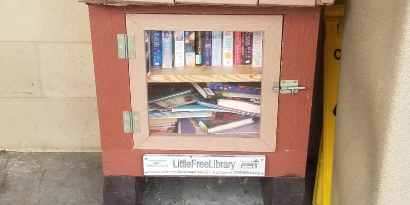 Camper submitted image from William G. Lunney Lake Farm Campground (Dane County Park)