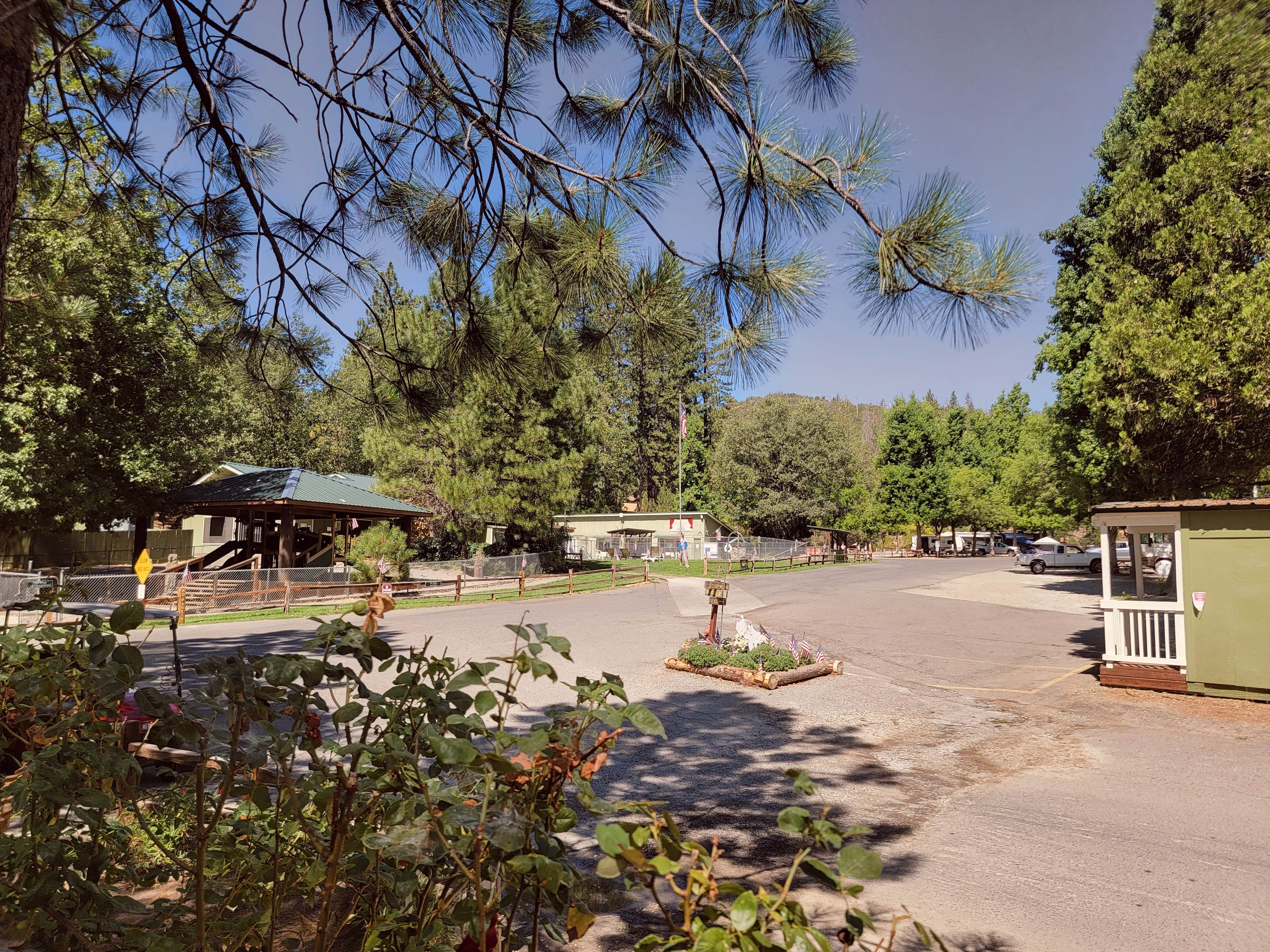 Camper-submitted photo at Outdoorsy Yosemite near Biola, CA