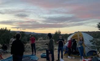 Caitlin A.'s photo at Dalton Wash Dispersed near Zion National Park