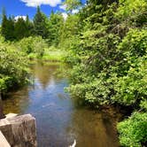 Review photo of Rifle River Campground by Brion T., July 5, 2019