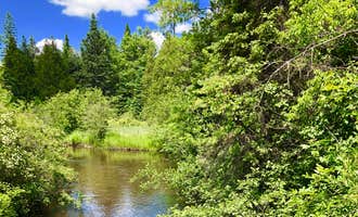 Camping near Riverbend Campground & Canoe Rental: Rifle River Campground, Alger, Michigan