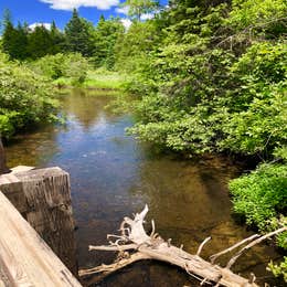 Rifle River Campground