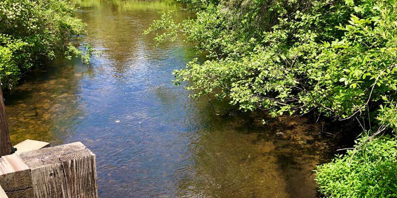 Camper submitted image from Rifle River Campground