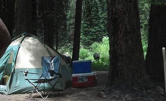 Sandy M.'s photo of tent camping at Little Sandy Campground - PERMANENTLY CLOSED near Eastman Lake
