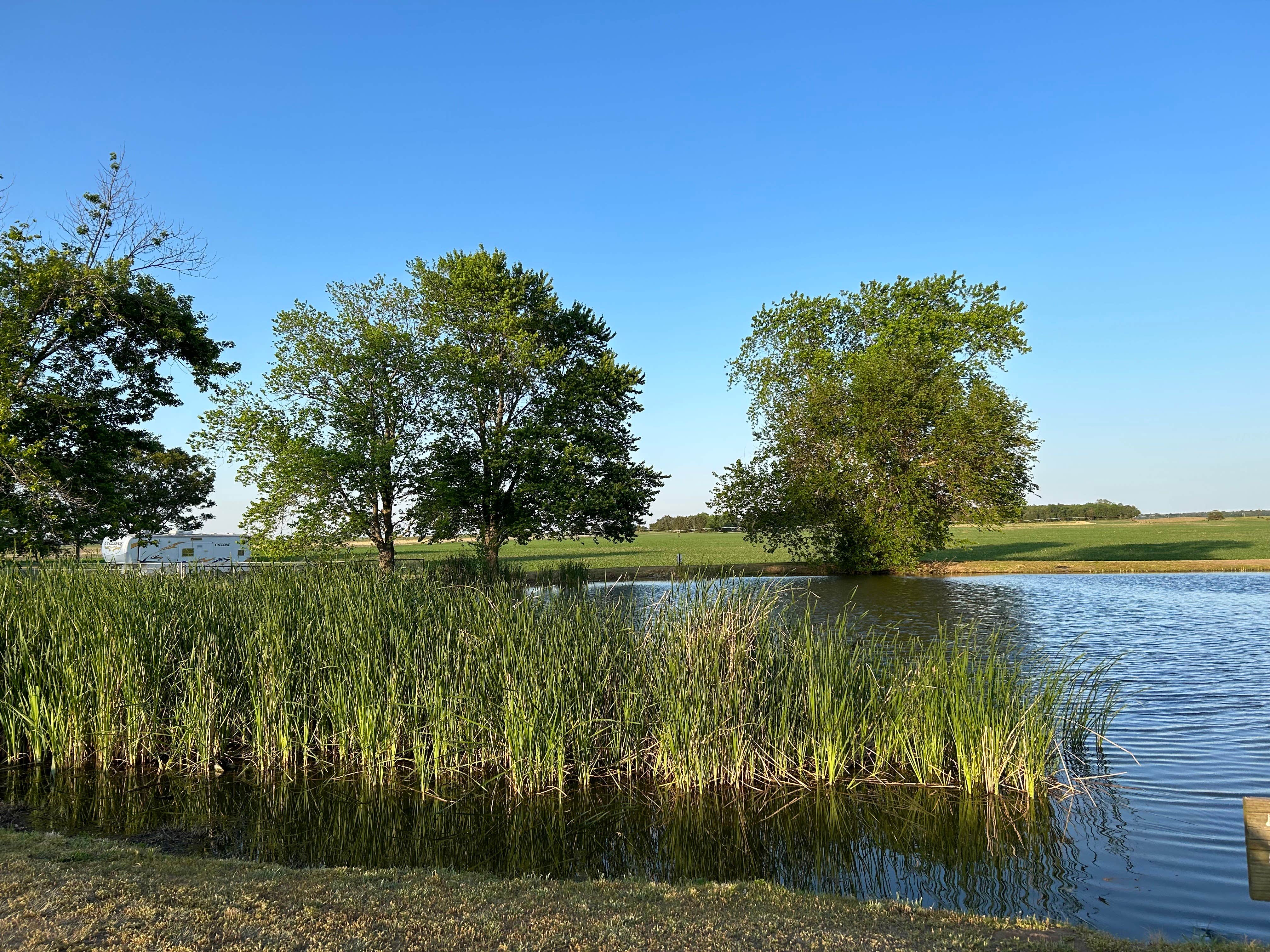 Camper-submitted photo at Evening Star Camping Resort near Lincoln, IL