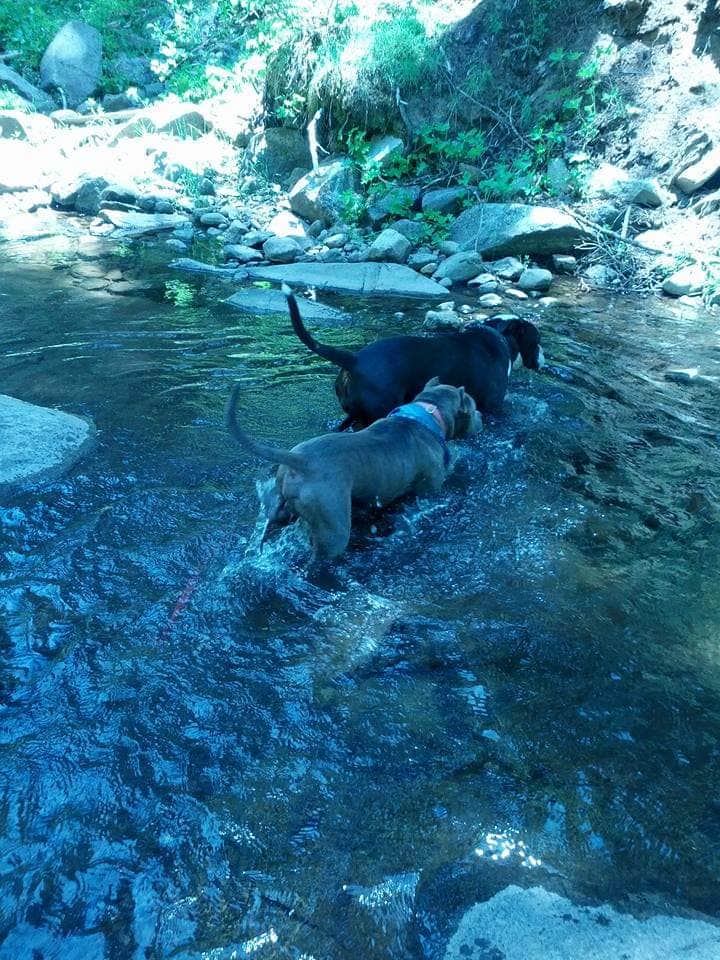 Little Sandy Campground - PERMANENTLY CLOSED