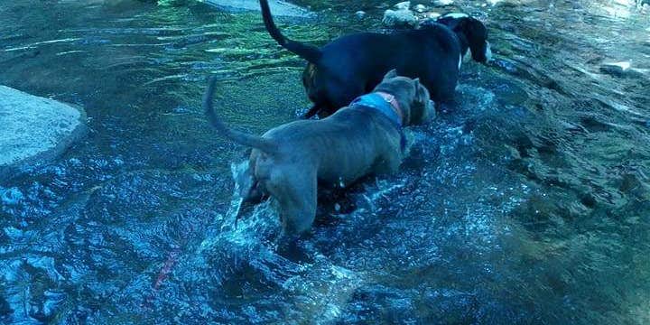 Camper submitted image from Little Sandy Campground - PERMANENTLY CLOSED