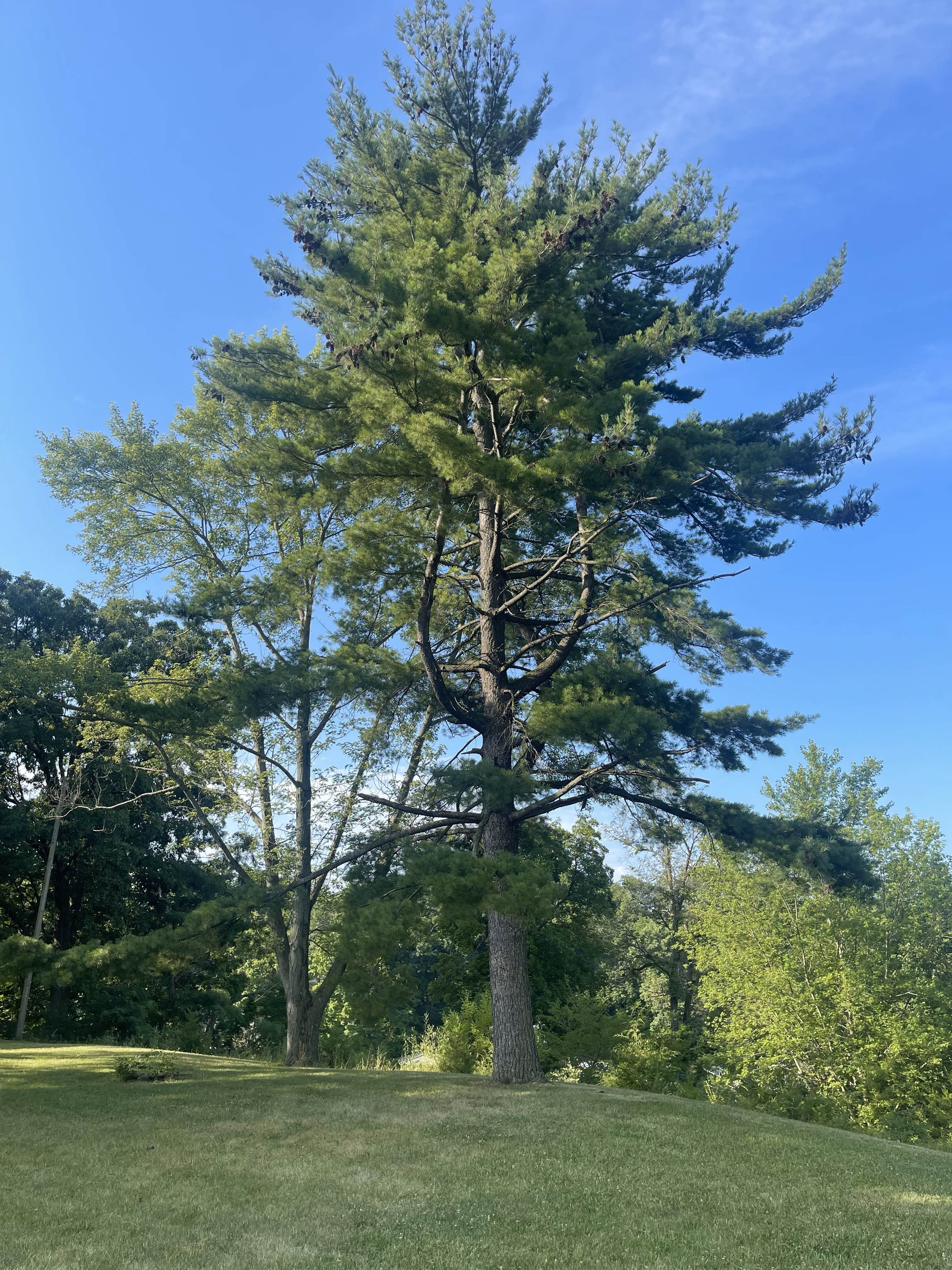 Camper-submitted photo at Lake Freeman Campground & Marina near Buck Creek, IN