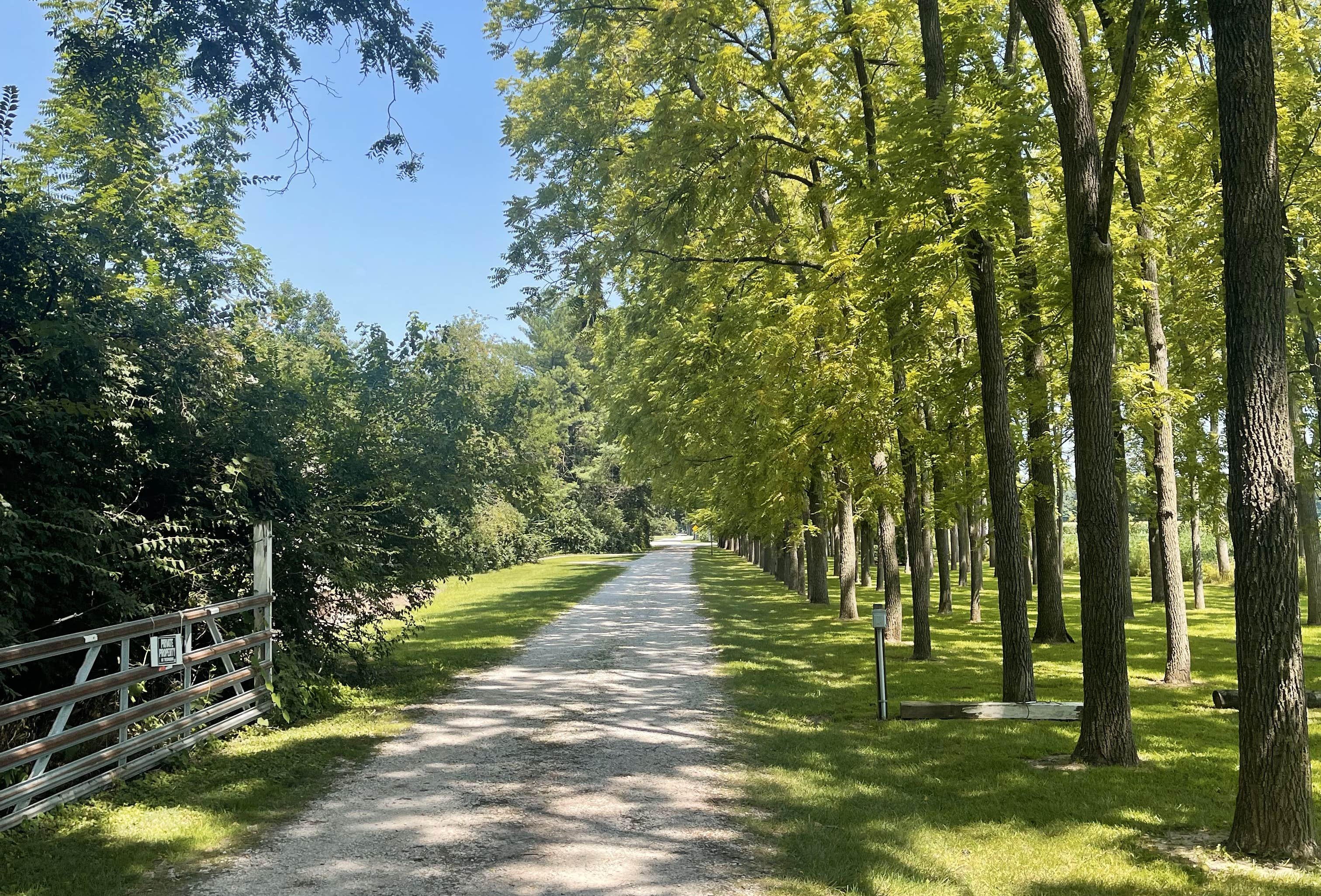 Walnut Ridge Rabbit Walnut Ridge RV Resort | Yeoman, Indiana