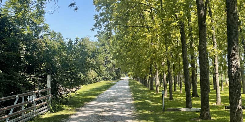 Camper submitted image from Walnut Ridge RV Resort