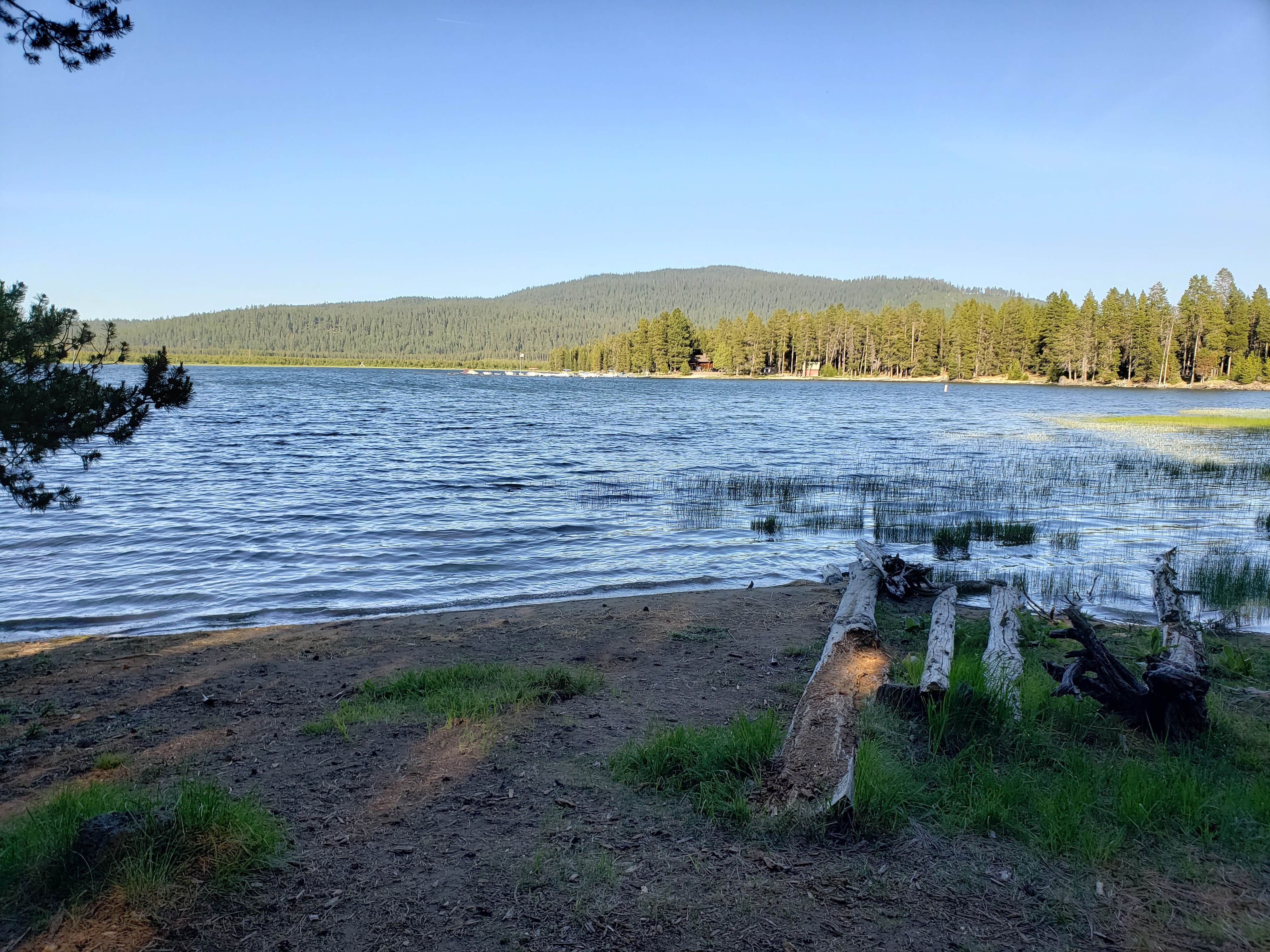 Camper submitted image from Crane Prairie Campground - 4