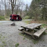 Review photo of Davidson River Campground by Lee D., February 26, 2025