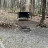 Review photo of Davidson River Campground by Lee D., February 26, 2025