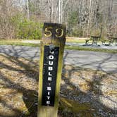 Review photo of Davidson River Campground by Lee D., February 26, 2025