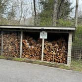 Review photo of Davidson River Campground by Lee D., February 26, 2025
