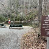 Review photo of Davidson River Campground by Lee D., February 26, 2025