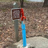 Review photo of Davidson River Campground by Lee D., February 26, 2025