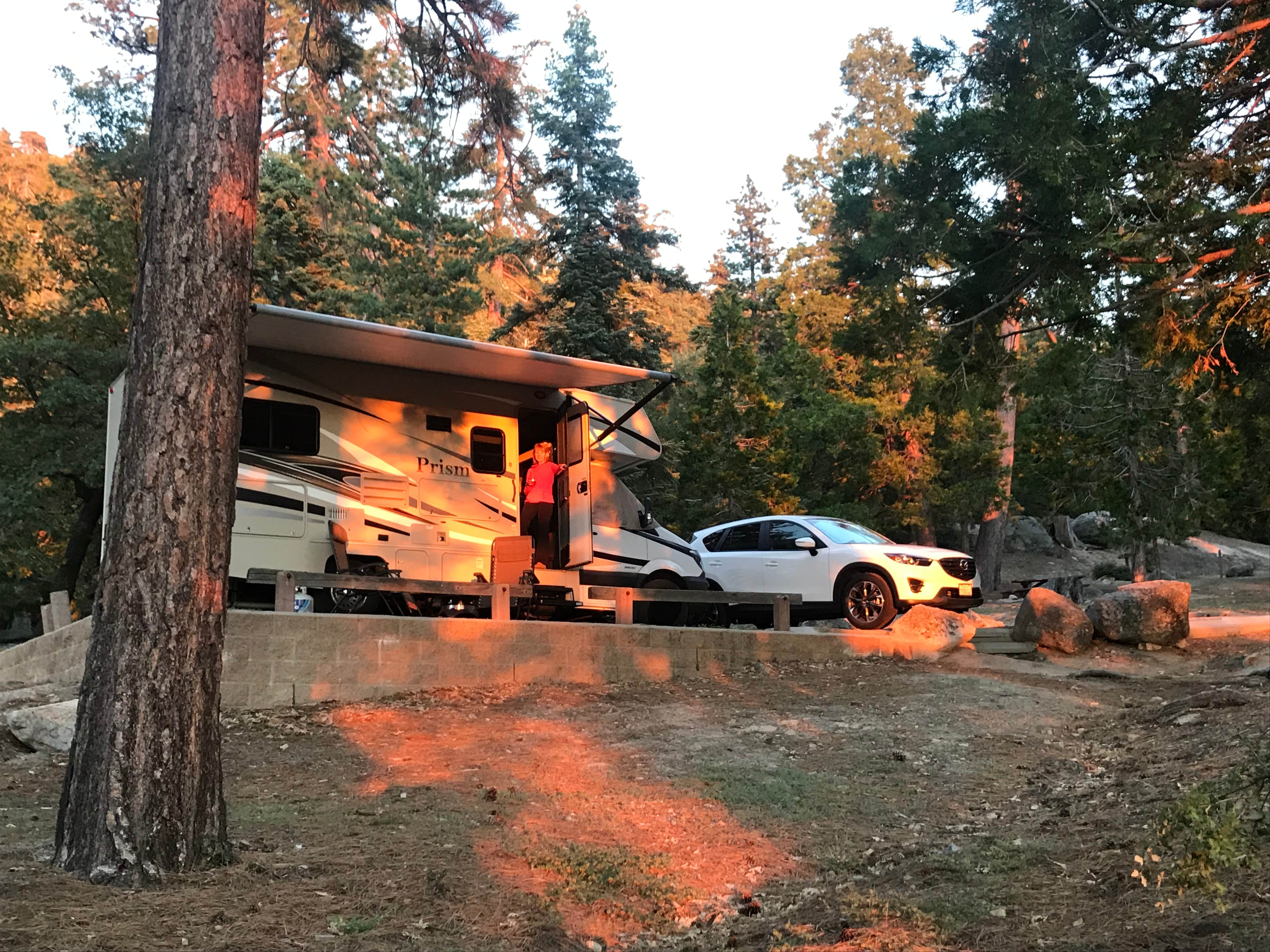 Camper submitted image from Marion Mountain - 4