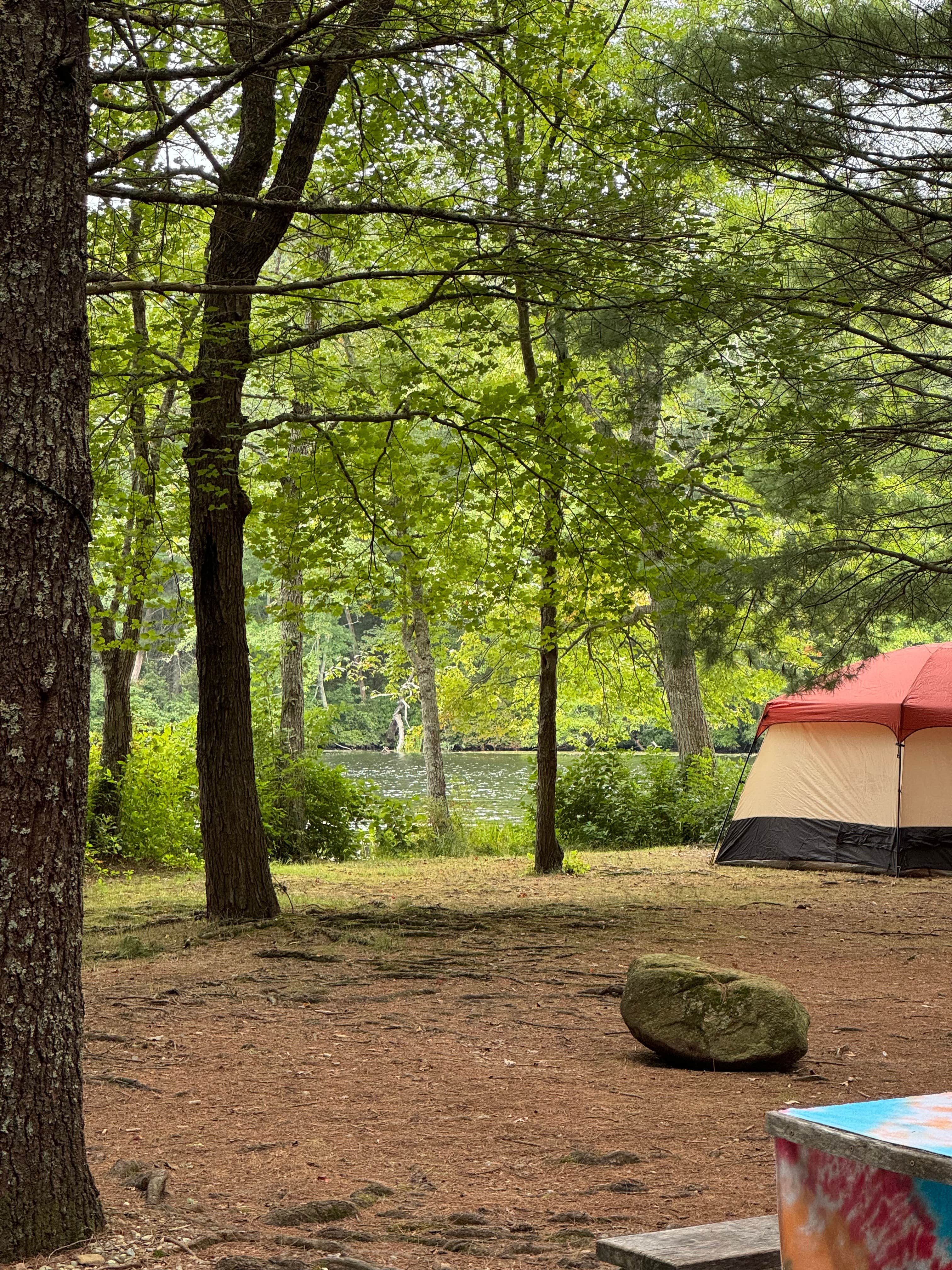 Jason S.'s photo at Hopeville Pond State Park Campground near Moosup, CT