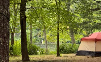 Jason S.'s photo at Hopeville Pond State Park Campground near Versailles, CT